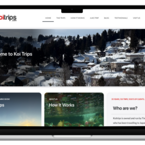 Web Pro V17